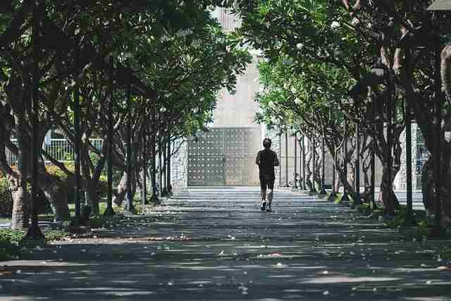 一文读懂51网网址用户生态:破防指南《真相》